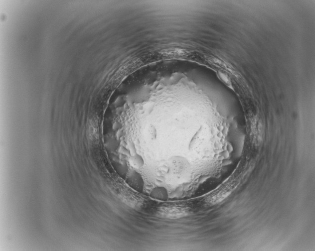 X0000060260561200511010916