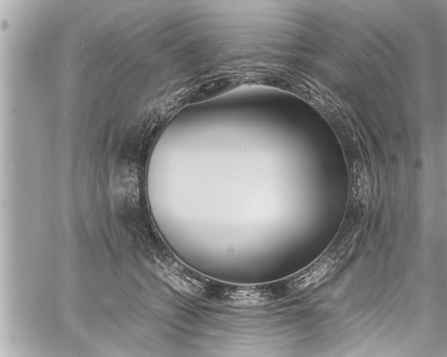 X0000060260562200511010916