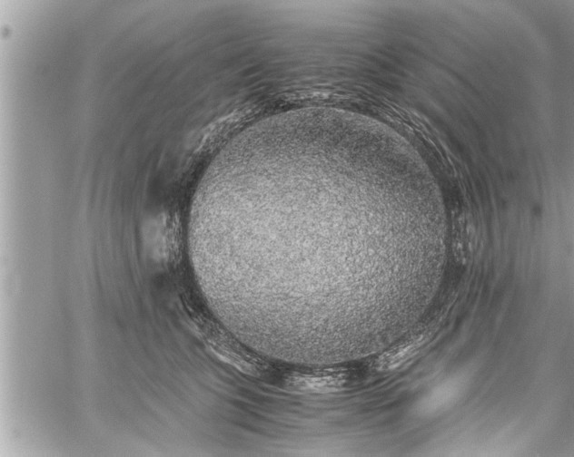 X0000060260563200511010916