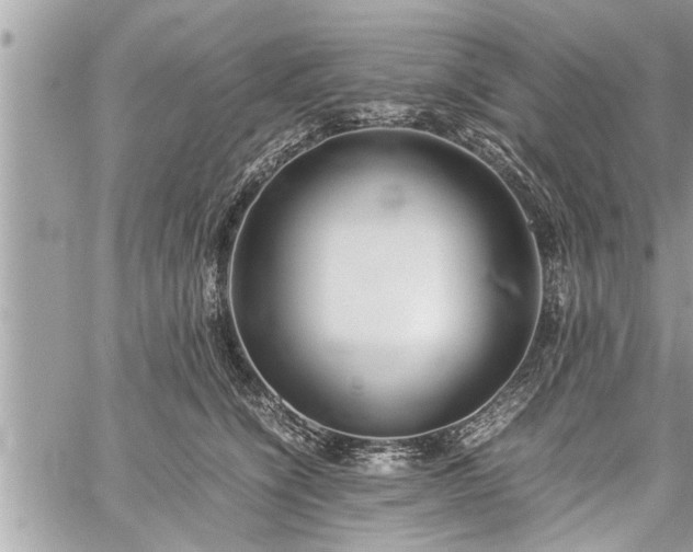 X0000060260564200511010916