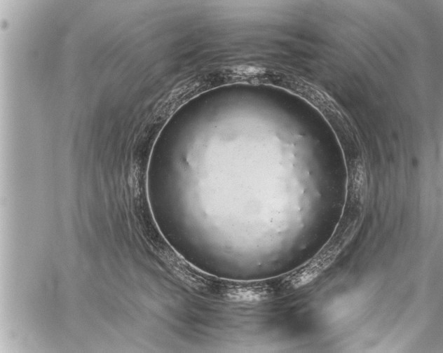 X0000060260565200511010916