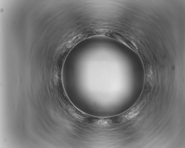 X0000060260566200511010916