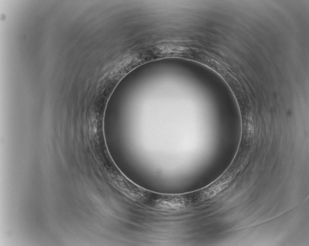 X0000060260567200511010916