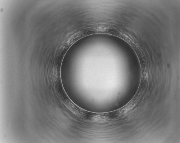 X0000060260568200511010916