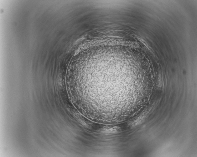 X0000060260569200511010916