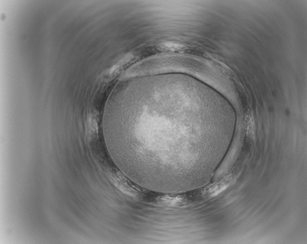 X0000060260570200511010916