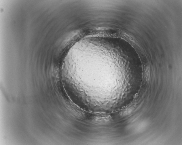 X0000060260571200511010916