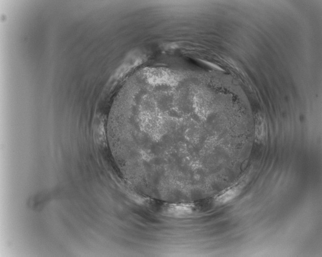 X0000060260573200511010916