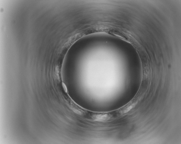 X0000060260575200511010916