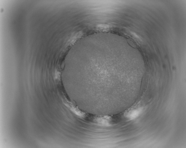 X0000060260576200511010916