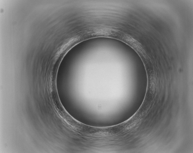 X0000060260578200511010915