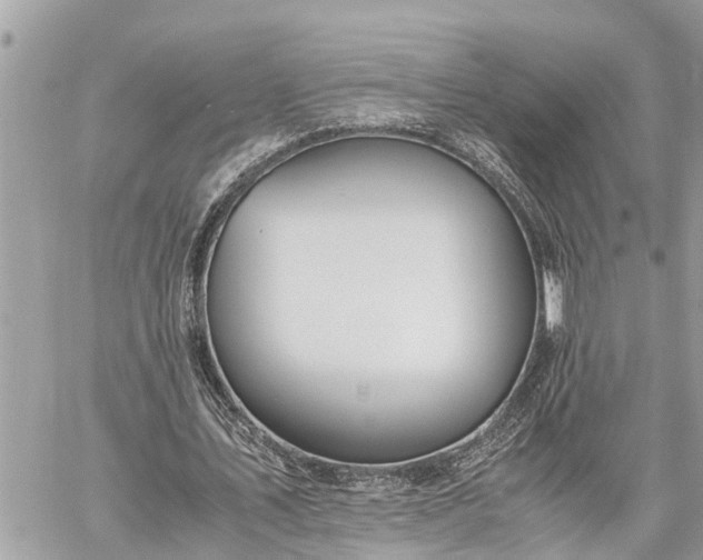 X0000060260579200511010915