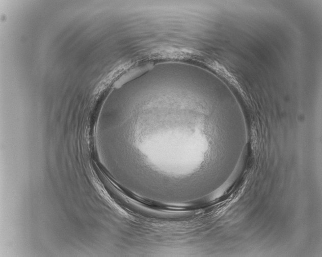 X0000060260581200511010915