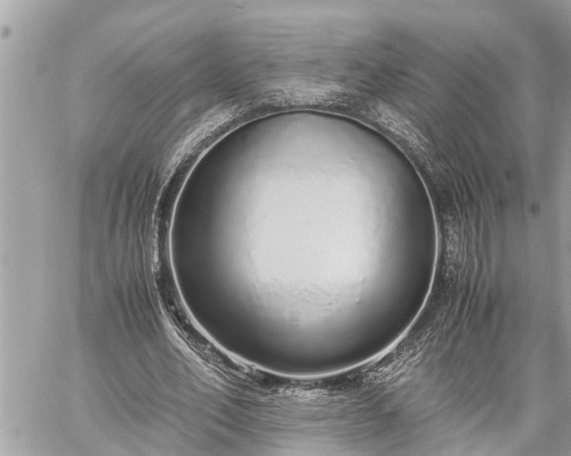 X0000060260582200511010915