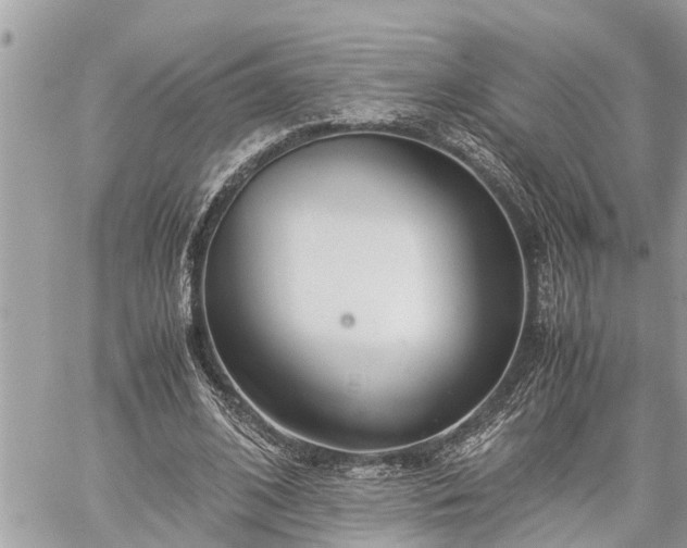 X0000060260584200511010915