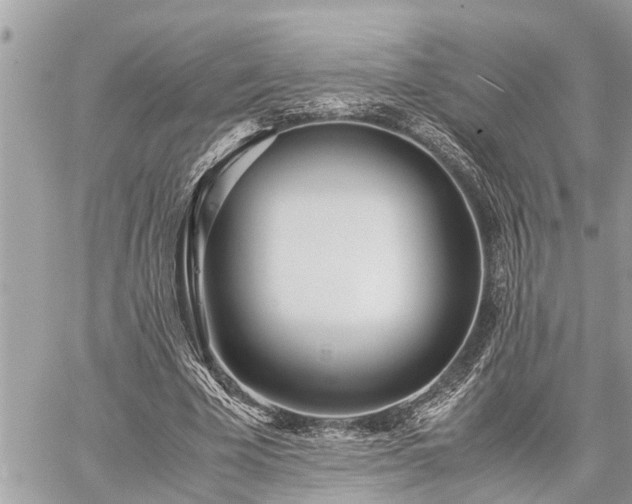 X0000060260585200511010915