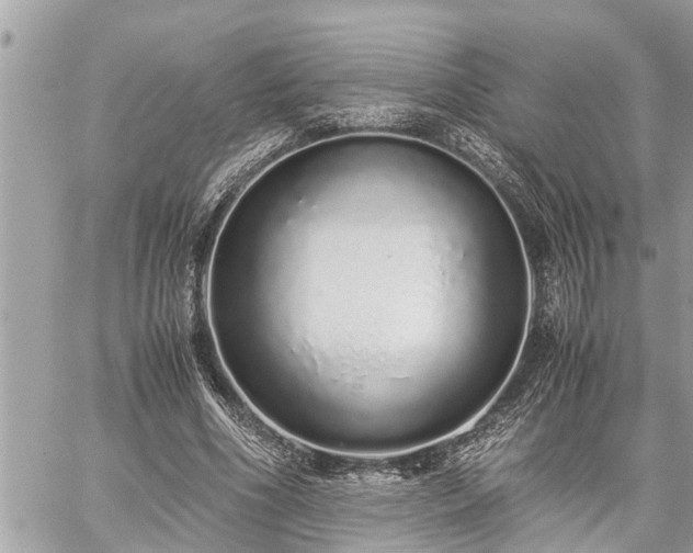 X0000060260586200511010915