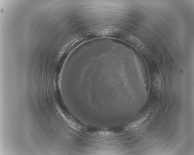 X0000060260590200511010915