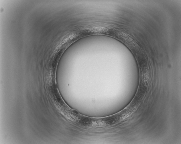 X0000060260591200511010915