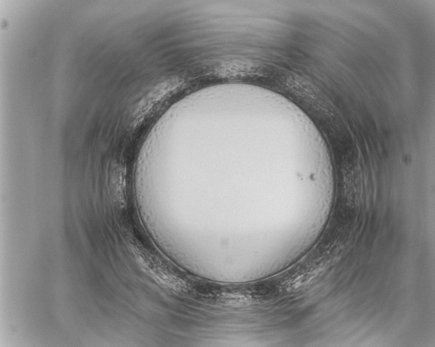 X0000060260592200511010915