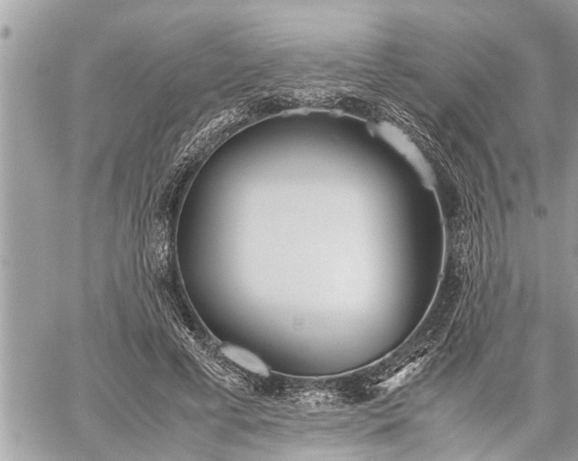 X0000060260593200511010915