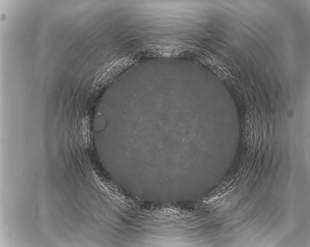 X0000060260594200511010915