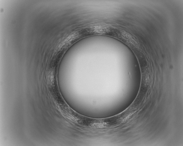 X0000060260595200511010915