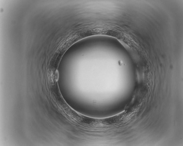 X0000060260597200511010915