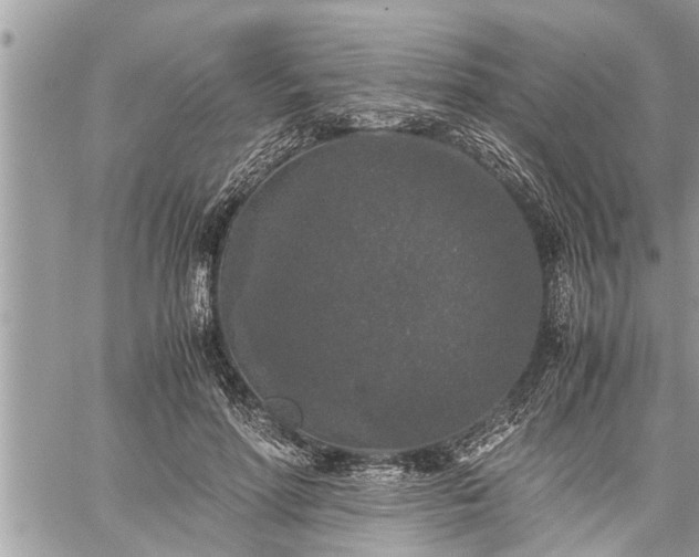 X0000060260598200511010915