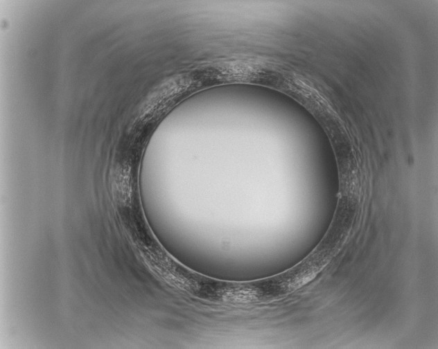 X0000060260599200511010915