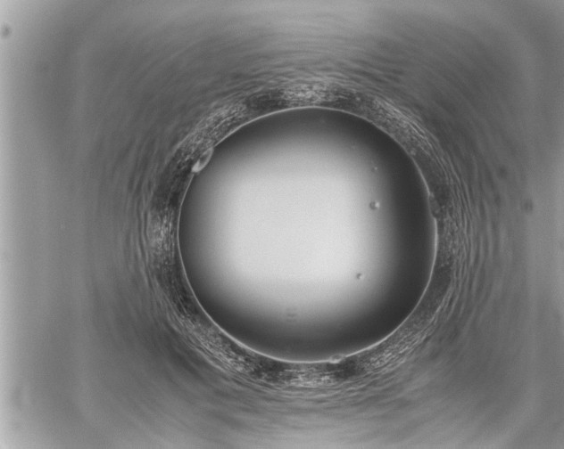 X0000060260601200511010915