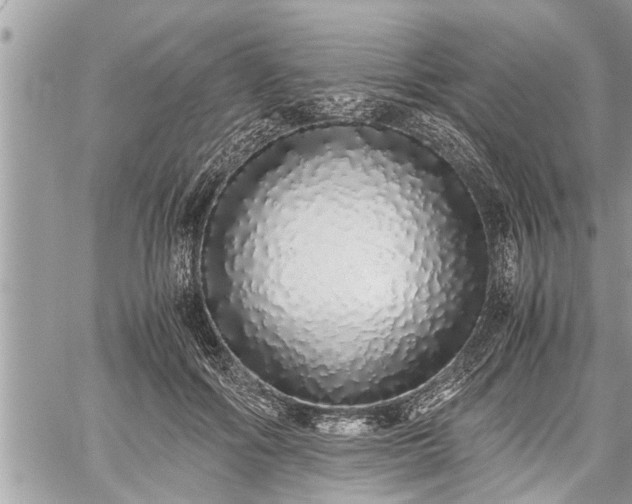 X0000060260602200511010915