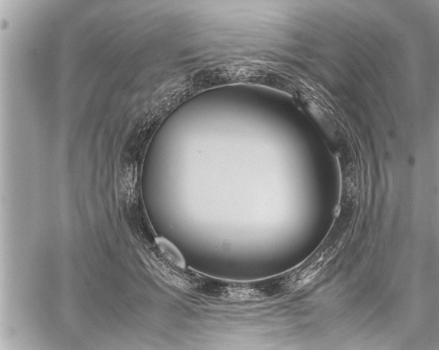 X0000060260605200511010915