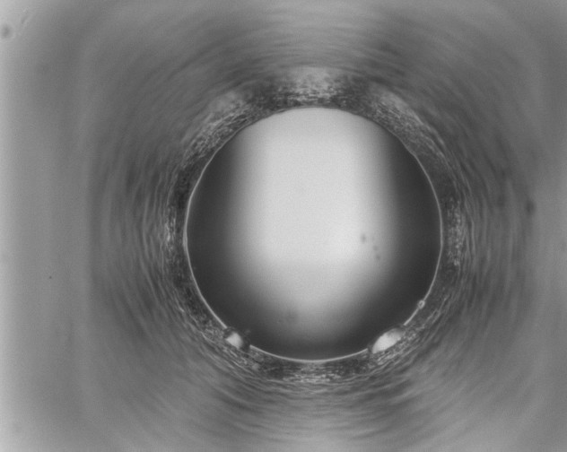 X0000060260608200511010915