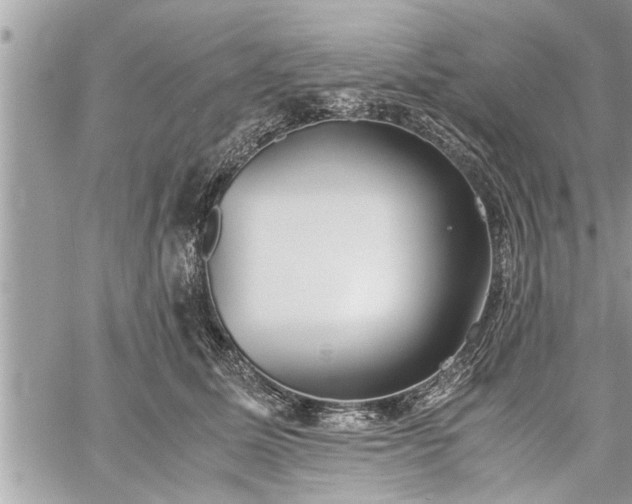 X0000060260611200511010914