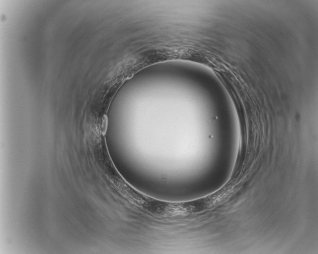 X0000060260613200511010914