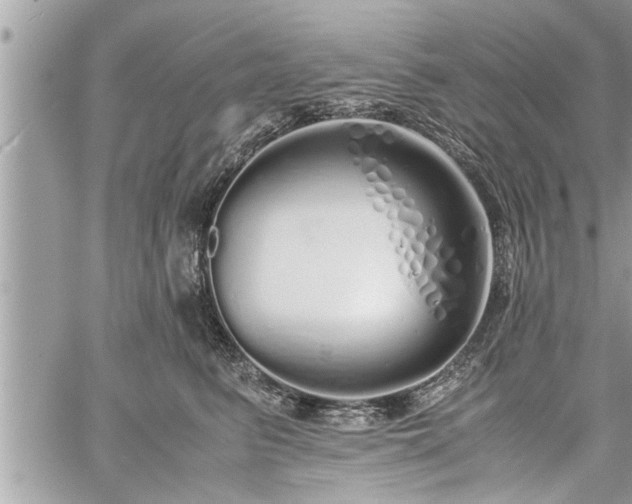 X0000060260615200511010914