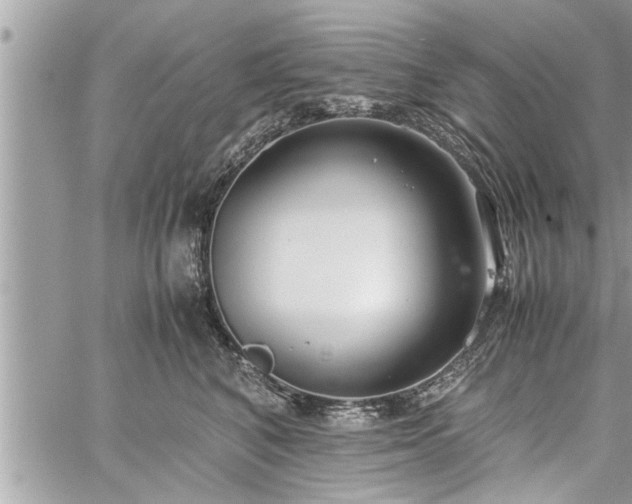 X0000060260616200511010914