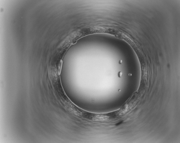 X0000060260617200511010914