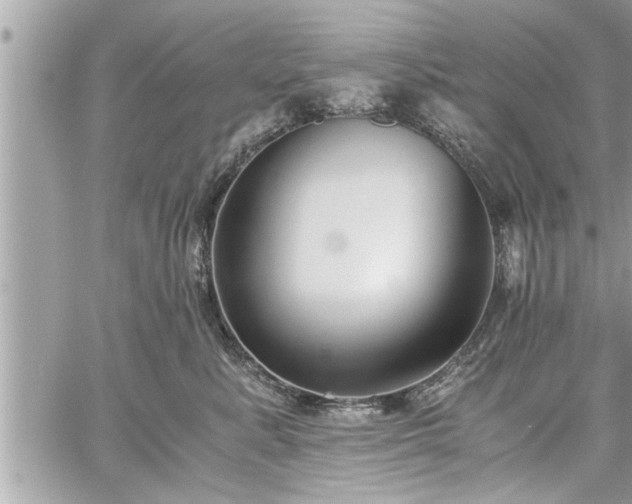 X0000060260619200511010914