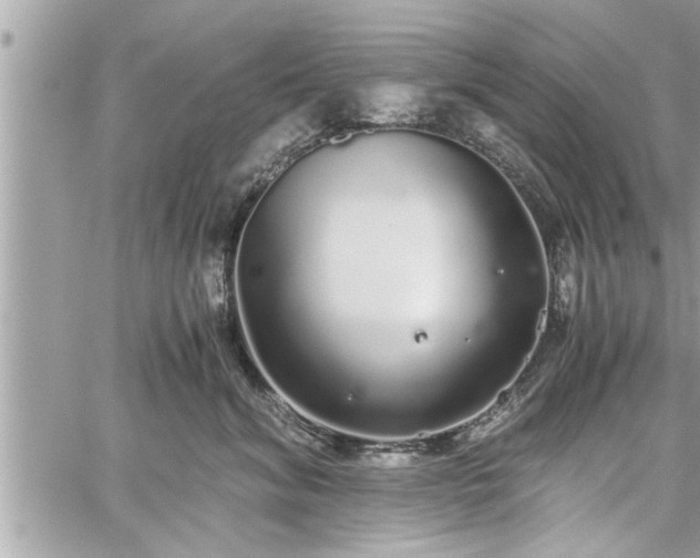 X0000060260620200511010914