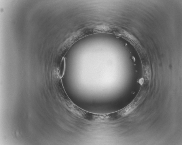 X0000060260621200511010914