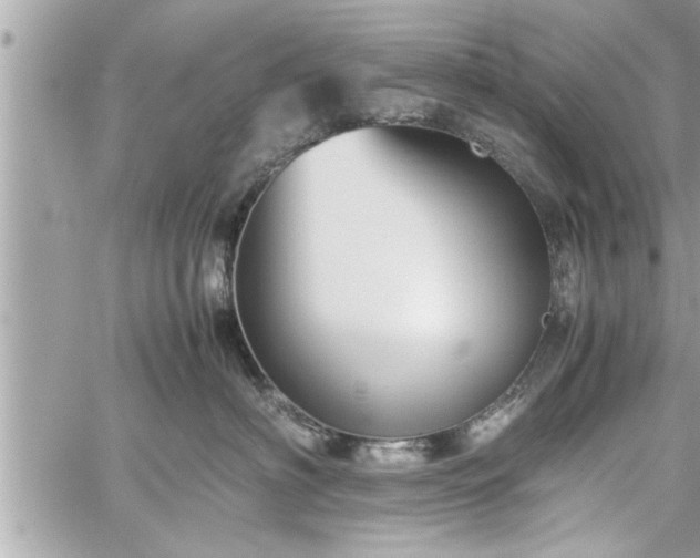 X0000060260622200511010914