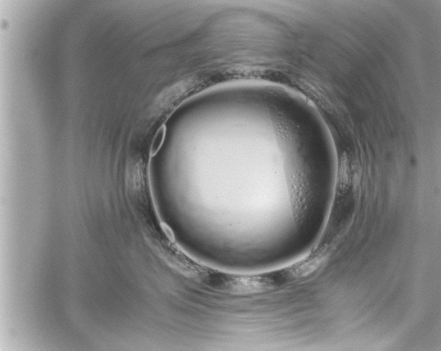 X0000060260623200511010914