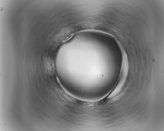 X0000060260624200511010914