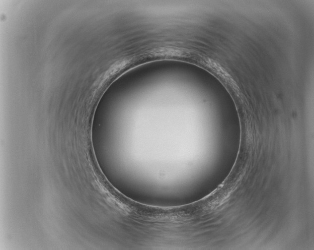 X0000060260625200511010913