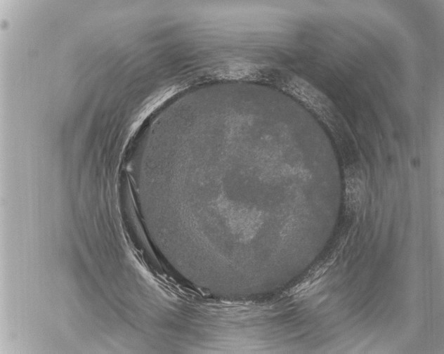 X0000060260626200511010913