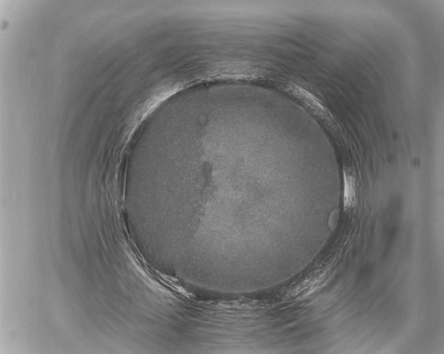 X0000060260627200511010913