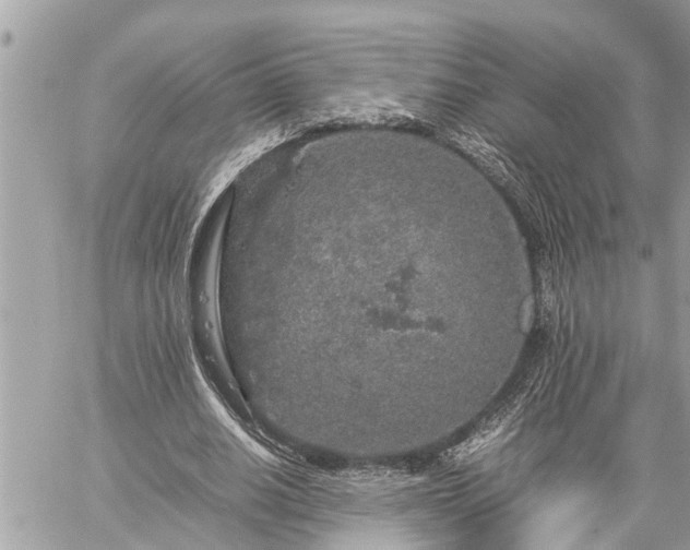 X0000060260630200511010914