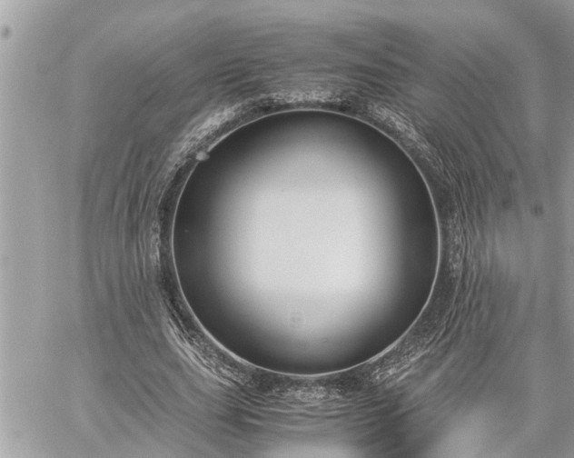 X0000060260631200511010914